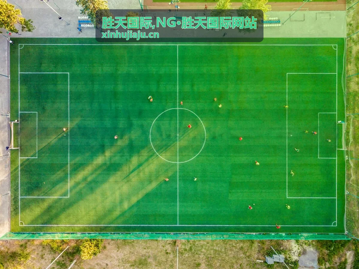 胜天国际资讯预览与站点内容展示画面